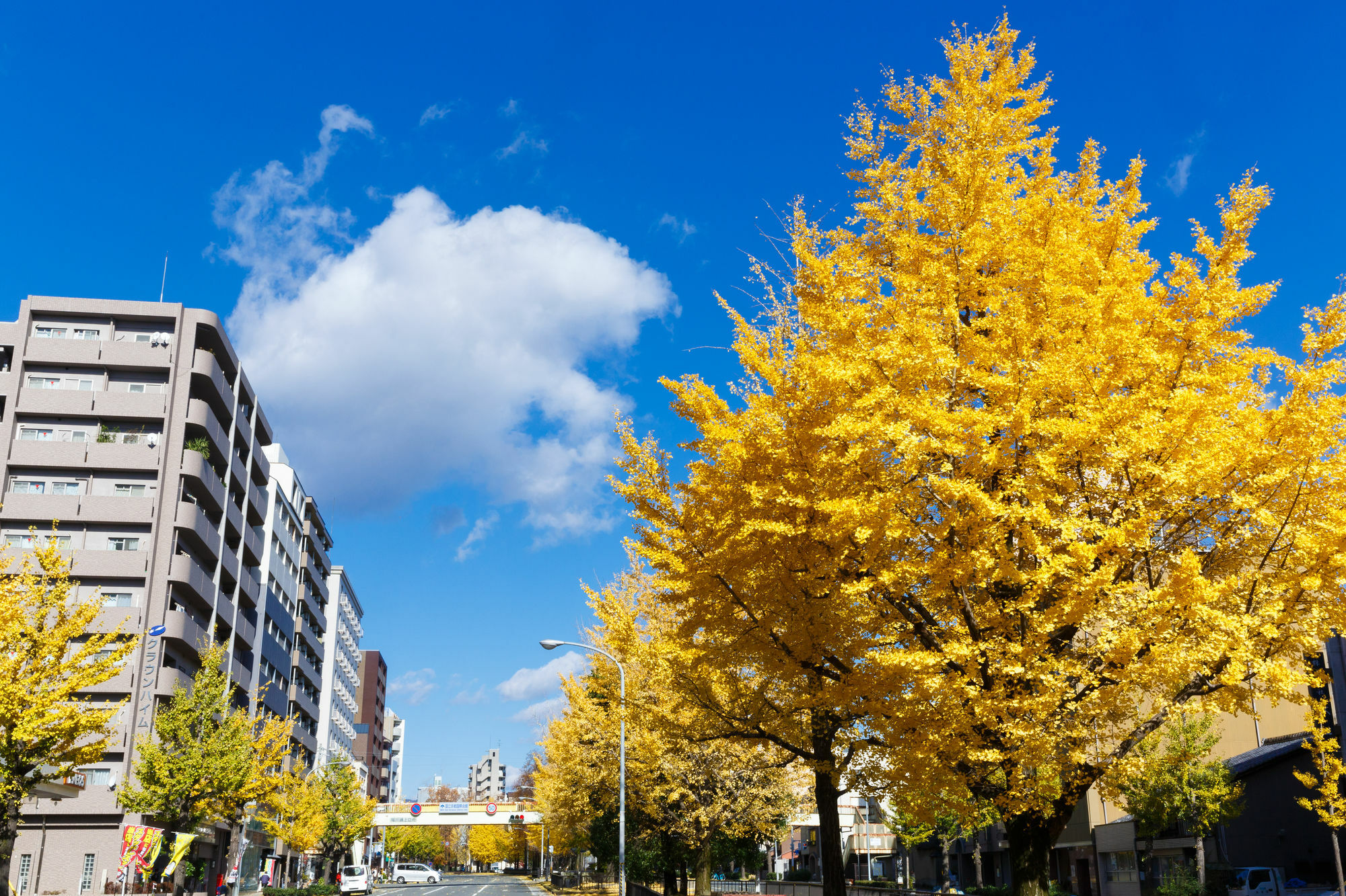 Kyoto City Hotel Экстерьер фото